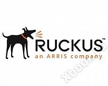 Ruckus 10GE-SFPP-AOC-0701