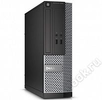Dell EMC 3020-6842