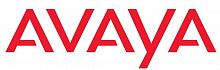 Avaya 202966