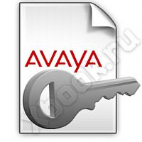 AVAYA 217650
